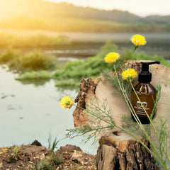 Conditioning Beard Shampoo